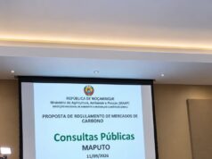 CARBONO, DINHEIRO E COMUNIDADES: MOÇAMBIQUE PREPARA REGRAS PARA A PARTILHA DE BENEFÍCIOS