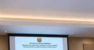 CARBONO, DINHEIRO E COMUNIDADES: MOÇAMBIQUE PREPARA REGRAS PARA A PARTILHA DE BENEFÍCIOS