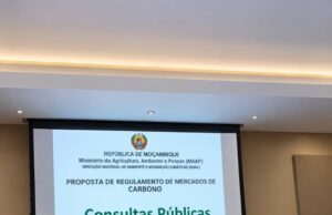 CARBONO, DINHEIRO E COMUNIDADES: MOÇAMBIQUE PREPARA REGRAS PARA A PARTILHA DE BENEFÍCIOS
